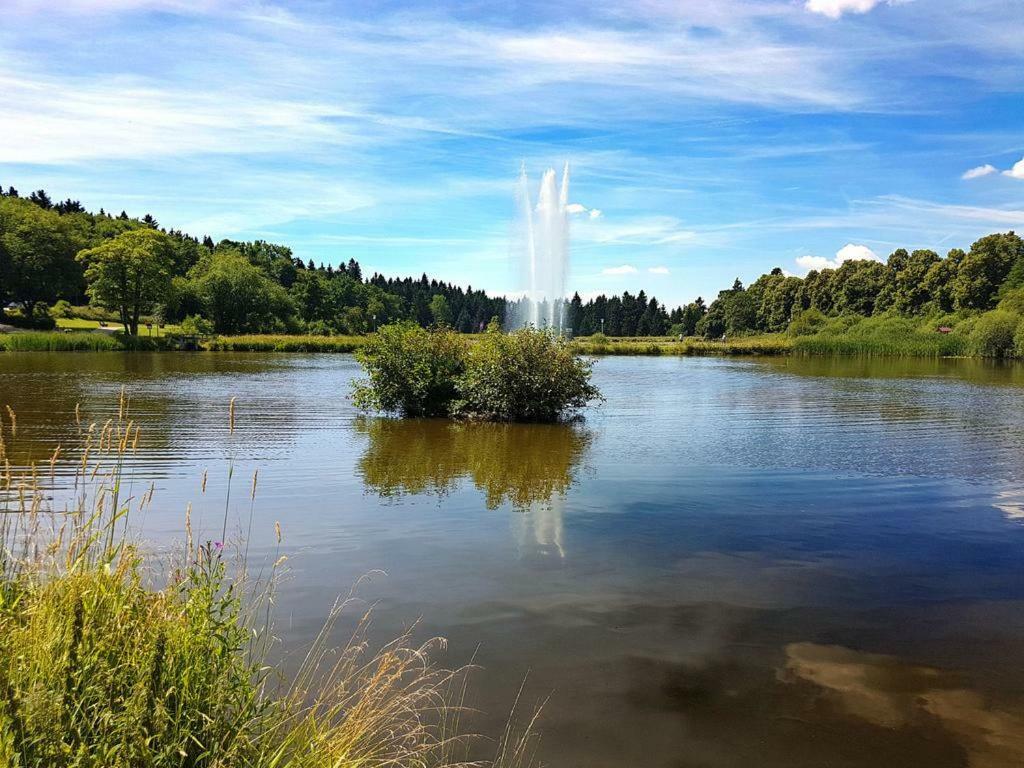 Ferienappartements Balbiani Hahnenklee-Harz Goslar Buitenkant foto